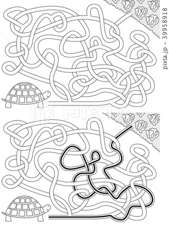 Tortoise maze Tortoise maze 39958918