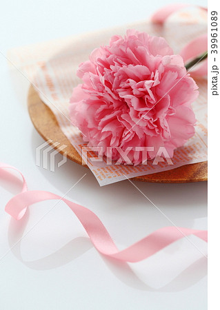 カーネーション 39961089