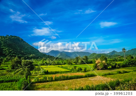 Dense tropical landscape of Bali Dense tropical landscape of Bali 39961203