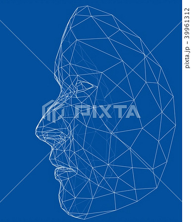Wire-frame abstract human face 39961312
