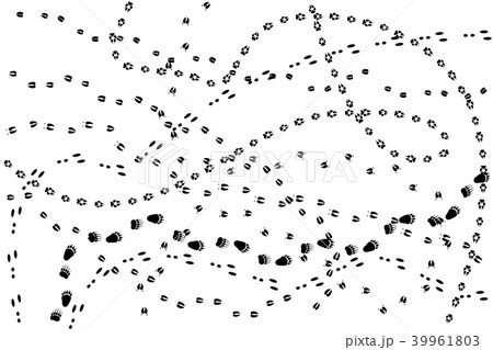 Animal Tracks Isolated On Whiteのイラスト素材