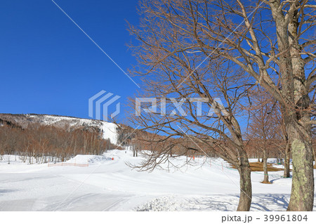 奥志賀高原 39961804