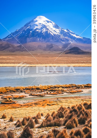 Snowcapped Nevado Sajama volcano Snowcapped Nevado Sajama volcano 39963426