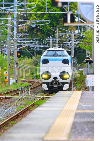 パンダくろしお号JR287 Panda face Express Train Kuroshio 82 パンダくろしお号JR287 Panda face Express Train Kuroshio 82 39965635
