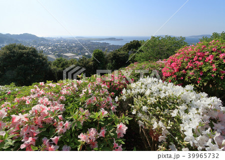 館山・城山公園からの景色 39965732