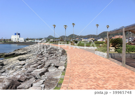 磯笛公園(南房総市白浜町) 磯笛公園(南房総市白浜町) 39965748