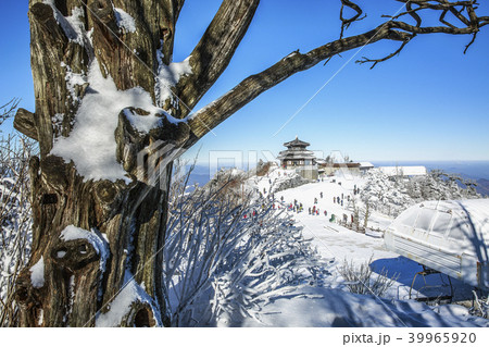 雪景色 風景 徳裕山 39965920