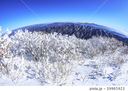 雪景色 風景 徳裕山 39965923
