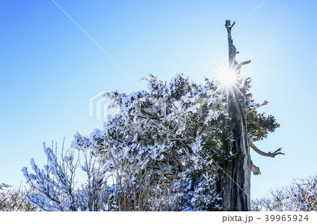 雪景色 青空 風景 39965924