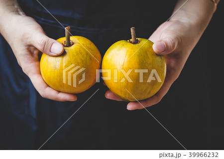 Lucuma fruits-Eggfruits 39966232