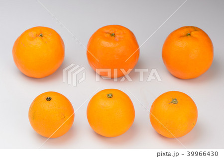 オレンジ 橙 オレンジ色 39966430