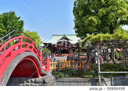 亀戸天神社の太鼓橋と本殿 39966498