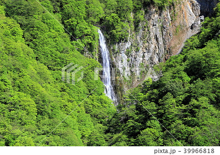 澗満滝 澗満滝 39966818