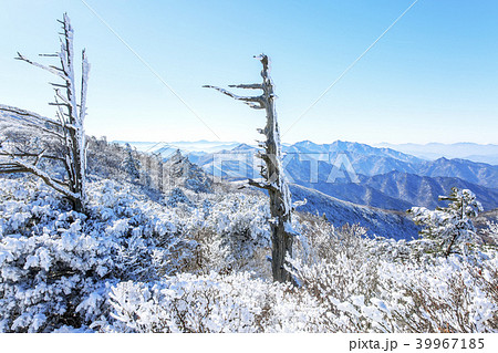 雪景色 風景 徳裕山 39967185