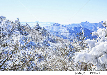国立公園 雪景色 雪花 39967186