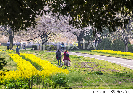 愛知県 名古屋市 庄内緑地公園 愛知県 名古屋市 庄内緑地公園 39967252