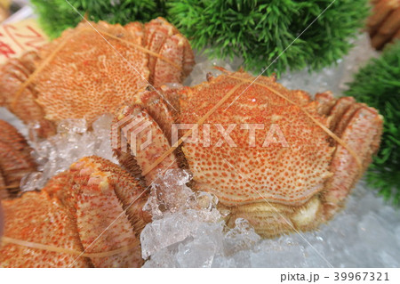 毛がに 毛がに 39967321