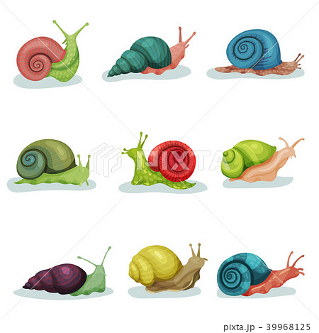 Collection of snails of different shell colours vector Illustrations isolated on a white background 39968125