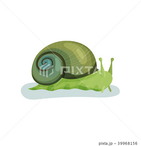 Green Snail Gastropod Mollusk With Green Shell のイラスト素材