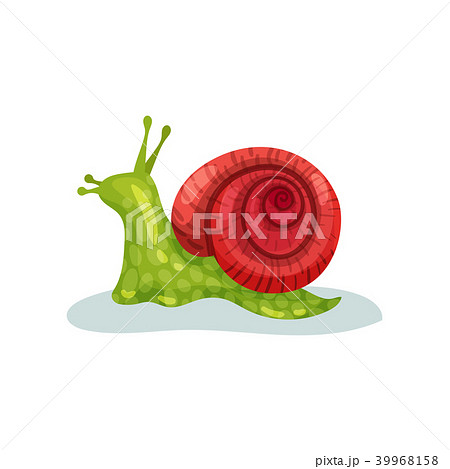 Snail Gastropod Mollusk With Red Shell Vector のイラスト素材