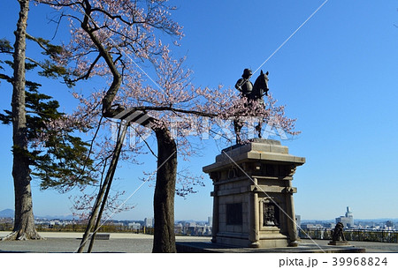 伊達政宗騎馬像と桜 39968824