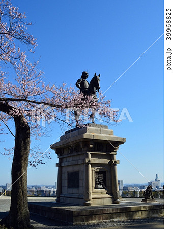 伊達政宗騎馬像と桜 39968825