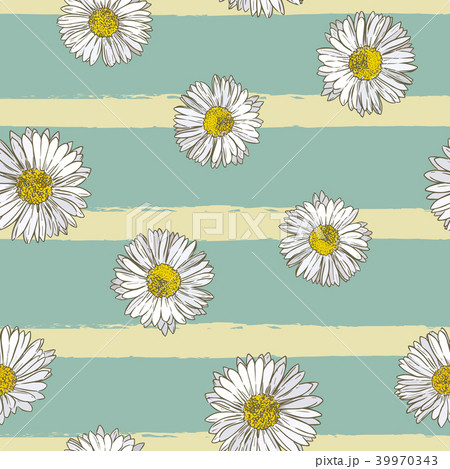 common daisy , seamless pattern vector. 39970343