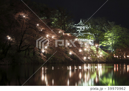 高田城址公園の桜ライトアップ 高田城址公園の桜ライトアップ 39970962