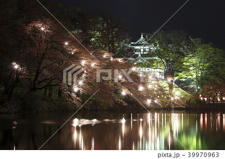 高田城址公園の桜ライトアップ 高田城址公園の桜ライトアップ 39970963