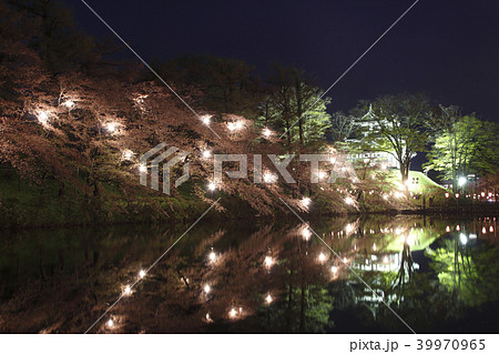 高田城址公園の桜ライトアップ 高田城址公園の桜ライトアップ 39970965