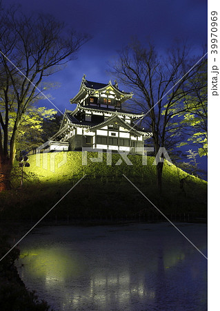 高田城址公園の桜ライトアップ 39970969