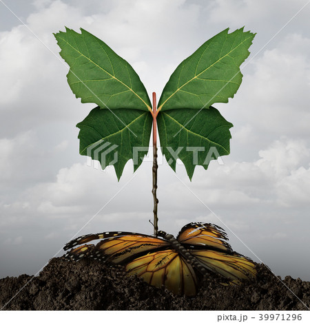 Life Concept 39971296