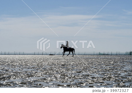 乗馬 仁川市 海 39972327