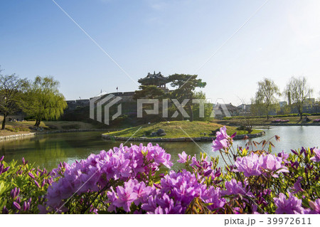 水原市 風景 龍淵 39972611