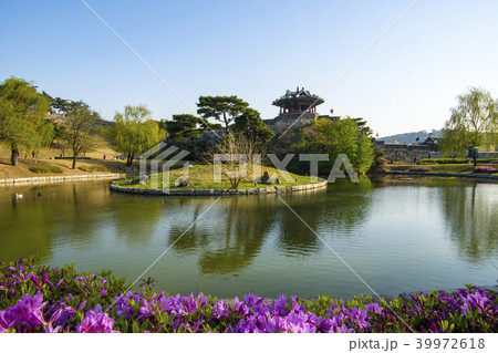 風景 花 木 39972618