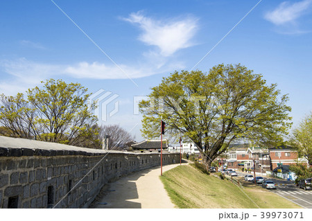 風景 水原市 京畿道 39973071