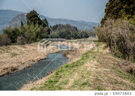 滋賀県湖北地方の清流 早春の余呉川の写真素材 [39973803] - PIXTA