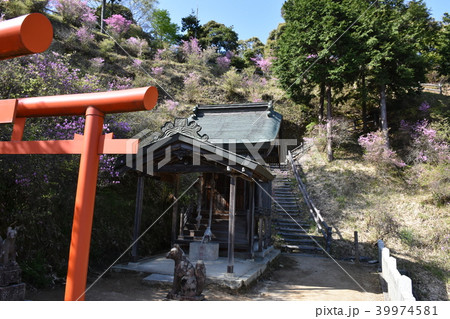 獅子崎稲荷神社 雪舟観展望台 天橋立 獅子崎稲荷神社 雪舟観展望台 天橋立 39974581
