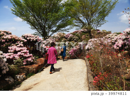 星の花公園 星の花公園 39974811