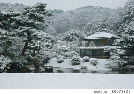 神奈川県横浜市 三溪園 雪 神奈川県横浜市 三溪園 雪 39975322