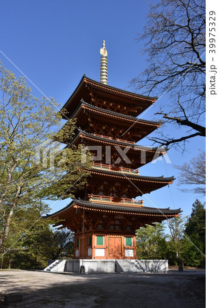 成相寺 五重塔 西国三十三所第28番札所 天橋立 成相寺 五重塔 西国三十三所第28番札所 天橋立 39975329
