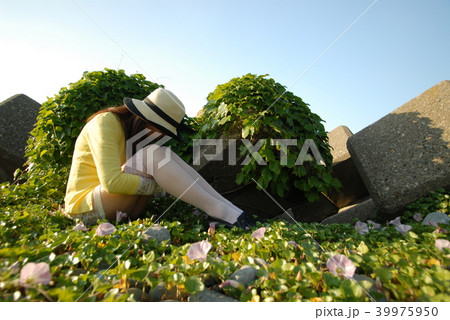 《兵庫県》ハマヒルガオの少女 39975950