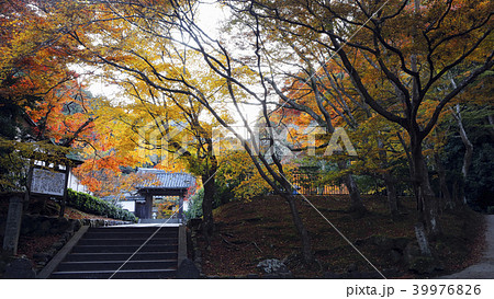 11月秋の京都 紅葉の南禅寺の写真素材