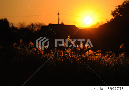 秋の夕べ　 39977584