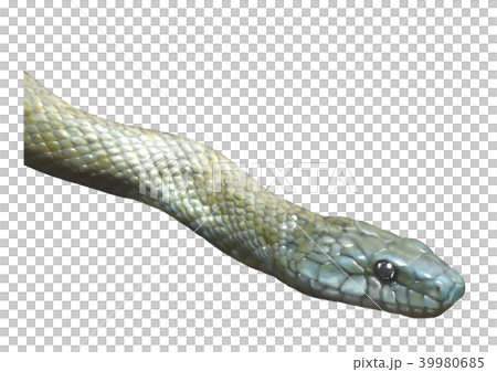 面對奧達笑 39980685