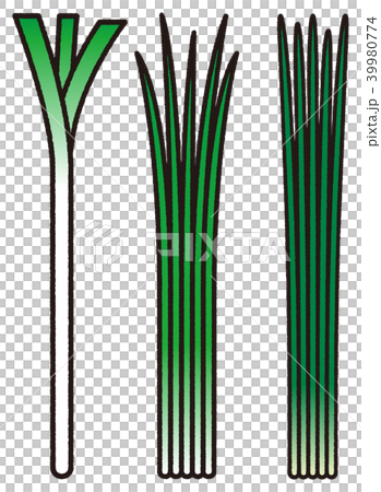 Green onions _ black line Green onions _ black line 39980774