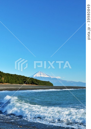 静岡県　新日本三景　三保の松原 39980849