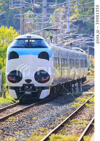 98987 JR287系特急電車パンダくろしお Amazon | TOMIX Nゲージ 限定 287系特急電車 パンダくろしお