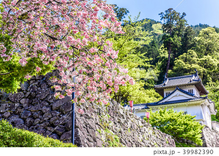 出石城跡 39982390