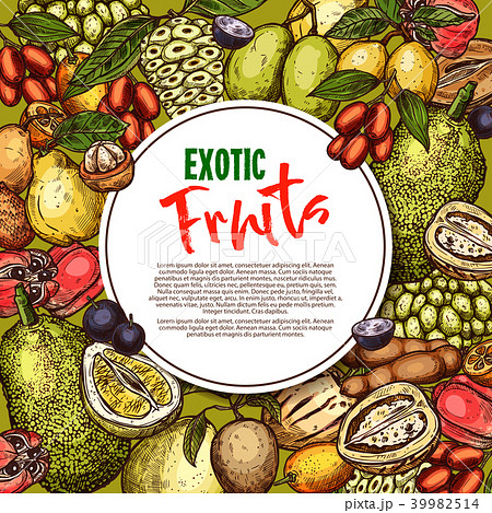 Vector fruit sketch poster exotic fruits 39982514